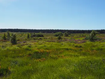 Signal de Botrange (Belgium)